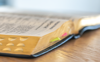 Class #17: How Did We Get the Bible? The Old Testament Books, part 2