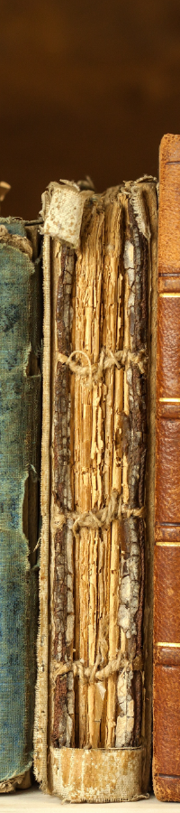 Vertical image of a Bible's Table of Contents. 